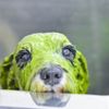 https://images.biz.cheriee.jp/43c75ffb-0afd-4511-8f5f-4e758ee6cf3b/p/1752949580.jpeg