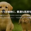 https://images.biz.cheriee.jp/6063dfc3-1292-42ca-b1a8-9cdab3d0260b/p/1756434213.png