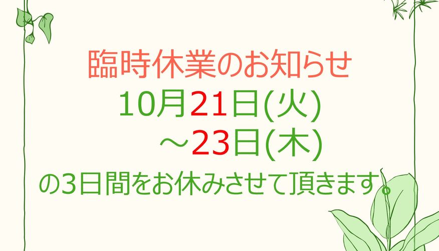https://images.biz.cheriee.jp/82e780bb-753f-4905-8914-91615f5dac3e/p/1752020267.jpg