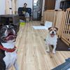 https://images.biz.cheriee.jp/82e780bb-753f-4905-8914-91615f5dac3e/p/1752020423.jpg