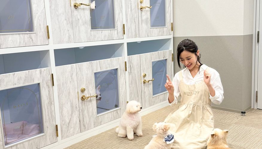https://images.biz.cheriee.jp/a06f77a2-2601-4b64-9dca-05b81a261da2/p/1753693057.jpg